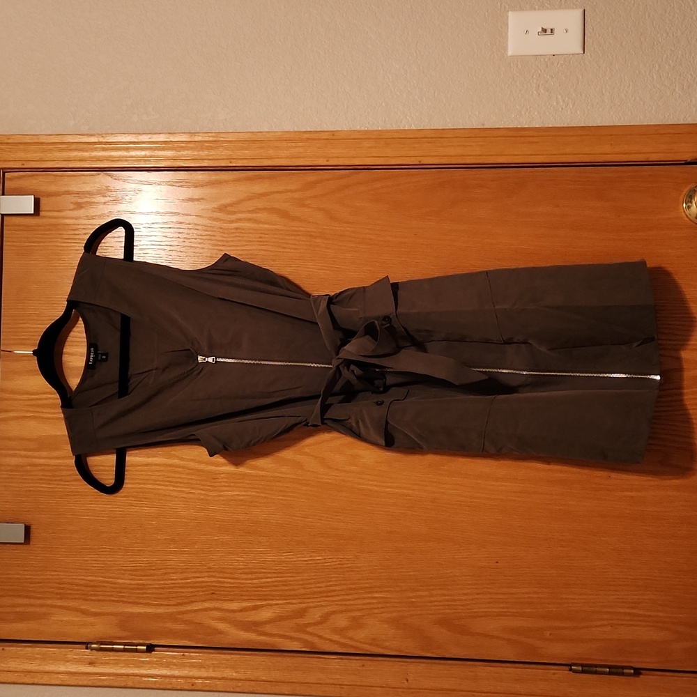 Express Zipper Dress